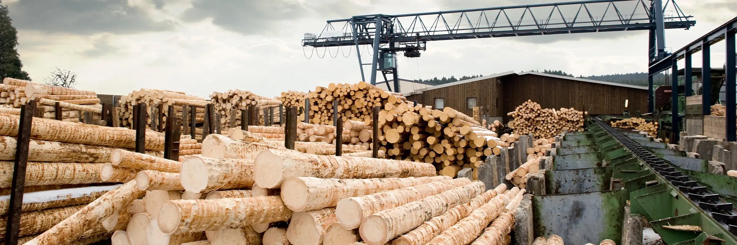 Amconex Group - Sawmilling, Wood & lumber Industry Banner